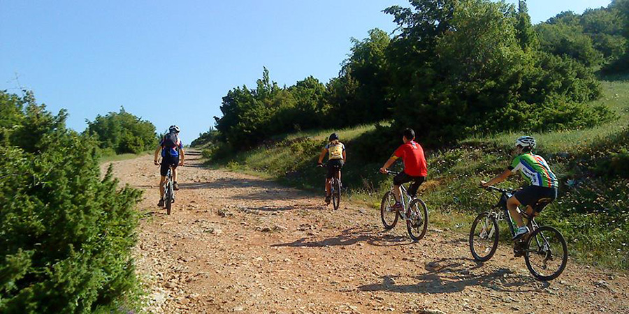 galicica bike